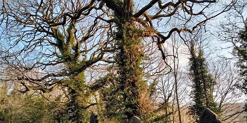 Creative Writing and Nature Walk - Walkley Cemetery and Rivelin
