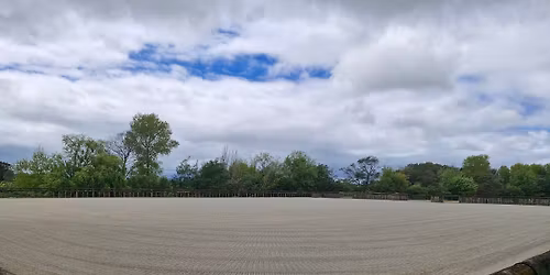 Back to Back Ribbons Day Show