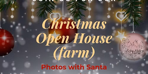 Deck the Stalls - Christmas at the Farm