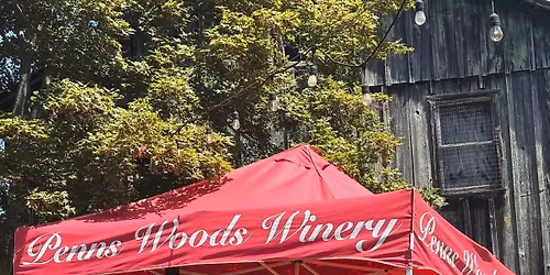 Nicole Zell at Penns Woods Winery | First Sunday of Every Month