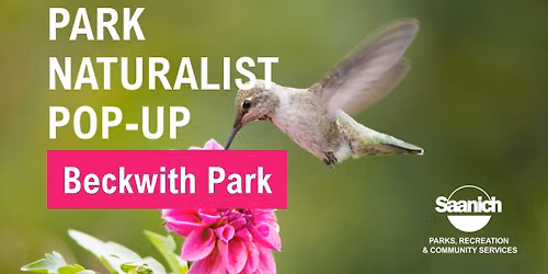 Park Naturalist Pop-up and Nature Walk - Beckwith Park