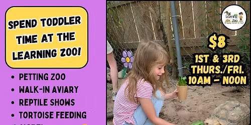 Toddler Time
