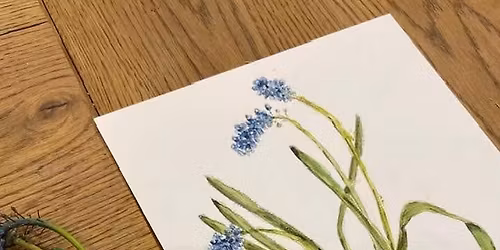 Cykl warsztat\u00f3w akwareli botanicznej dla pocz\u0105tkuj\u0105cych\/ Wiosenne ro\u015bliny i owady