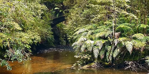 Pourakino Track maintenance