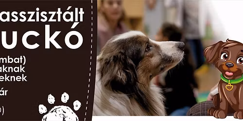 Családi állatasszisztált mesekuckó