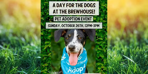 A Day for the Dogs at the Brewhouse w\/ Albuquerque Animal Welfare
