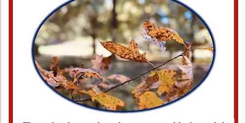 Friends of the Library Fall Book Sale