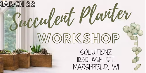 Succulent Planter Workshop