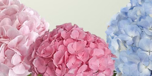 Soft Garden Florals Design Class - Grand Rapids Location