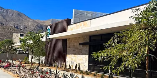Palm Springs - Dog dental cleaning