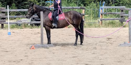 Working Equitation Clinic with Donna Allen