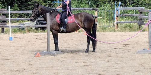 Working Equitation Clinic with Donna Allen