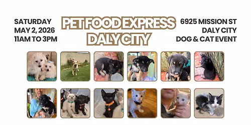 HDBnQ Rescue x Pet Food Express - Dog and Cat adoption event