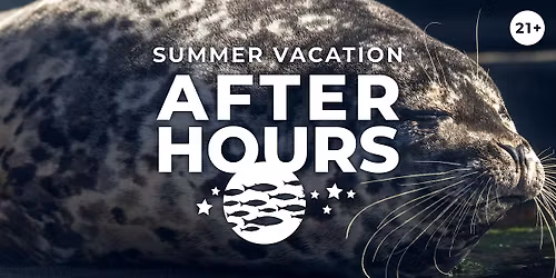 After Hours: Summer Vacation