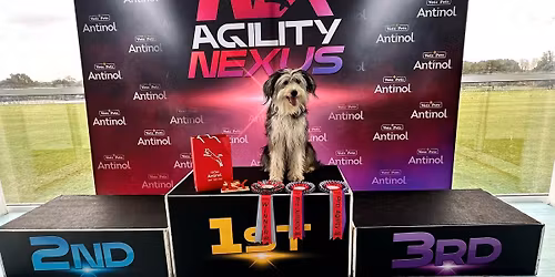 Nextgen Agility Show
