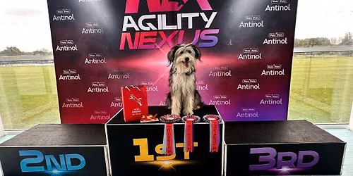 Nextgen Agility Show