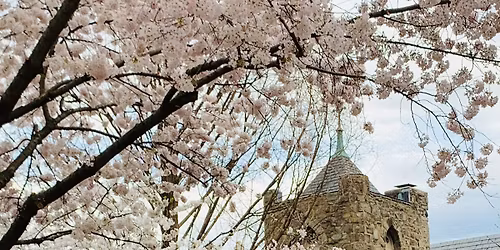 Faith Formation: Pastoral Visit with Bishop Mariann Budde