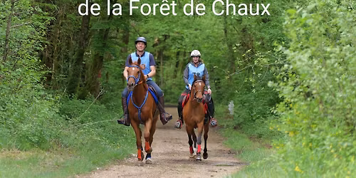 Endurance \u00e9questre de la For\u00eat de Chaux