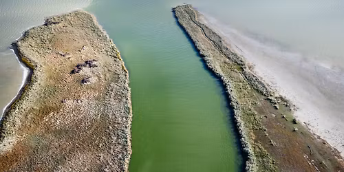 Panel Discussion: The Future of Freshwater