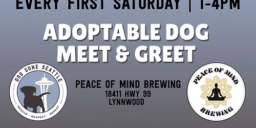 Adoptable Dog Meet & Greet at Peace of Mind Brewing