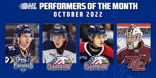 Flint Firebirds at Niagara IceDogs at Meridian Centre