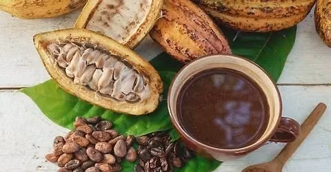 Winter Solstice Cacao & Shamanic Journey