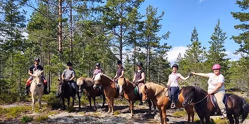 Rideleir for voksne p\u00e5 Stall Tajet 