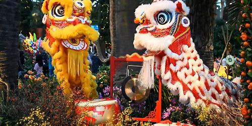 Community Day: Lunar New Year