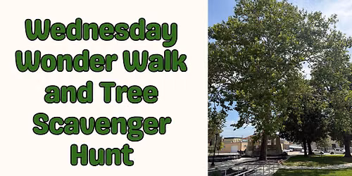 Wednesday Wonder Walk