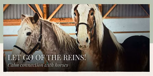 Let Go of The Reins!