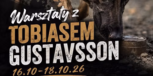 Warsztaty z detekcji z Tobiasem Gustavsson
