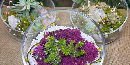 Intention & Energy: A New Year\u2019s Mindful Plant Workshop\u2728