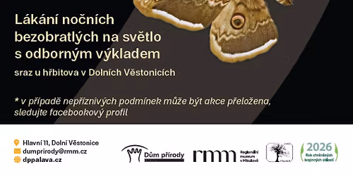 Za no\u010dn\u00edm hmyzem P\u00e1lavy