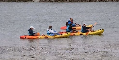 Sortie Kayak nature