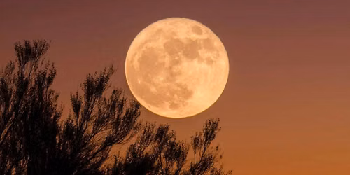 Moon Medicine with Genevieve Munro