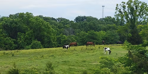 Kamp Kessa - 25 Year Reunion