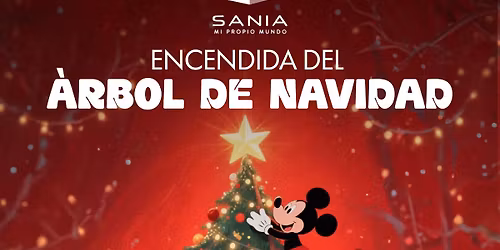 Encendida del \u00e1rbol de navidad 