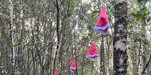 December Parent and Baby Walk - Betteshanger Park (Christmas Special)