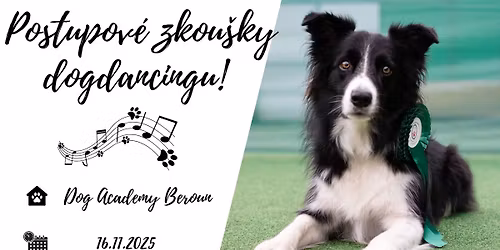 Dogdancingov\u00e9 zkou\u0161ky Beroun
