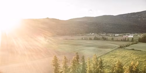 Armstrong Spallumcheen Museum & Art Gallery \ud83d\udcda 32nd Annual Gigantic Book Sale \ud83d\udcda