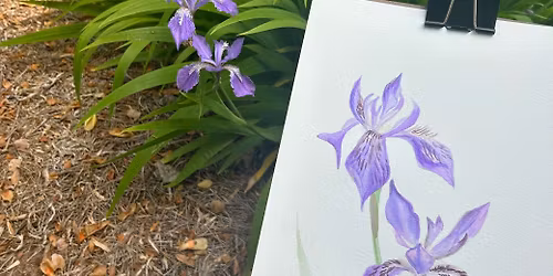 Creative Aging Art Workshop