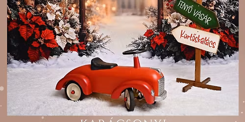 Kar\u00e1csonyi gyermek minifot\u00f3z\u00e1s a Liza Kuck\u00f3ban!\ud83c\udf84