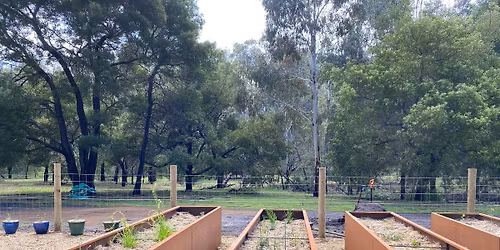 \ud83e\udeb4 Bush Tucker Garden Working Bee with Palawa Kipli \ud83d\udc1b