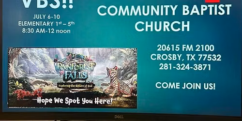 VBS 2026 Rainforest Falls
