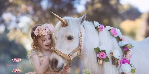 UNICORNS BY THE SEA \u2013 A WORLD OF MAGIC AND WONDER