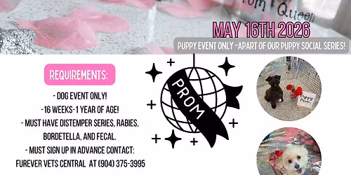 Puppy Social #3 - Puppy Prom! 