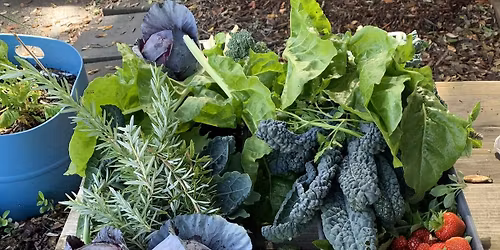 Monthly Produce and Tool swap