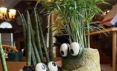 Pottery Handbuilding: Funny Ribbits