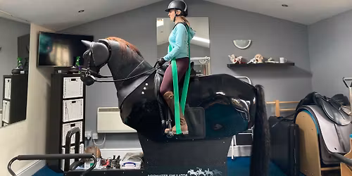 Mechanical Horse Clinic 