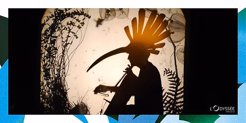 VOLATILE OMBRE - Compagnie La Rotule